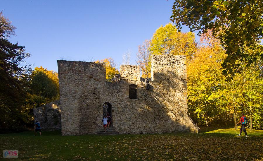 Zamek w Bąkowej Górze