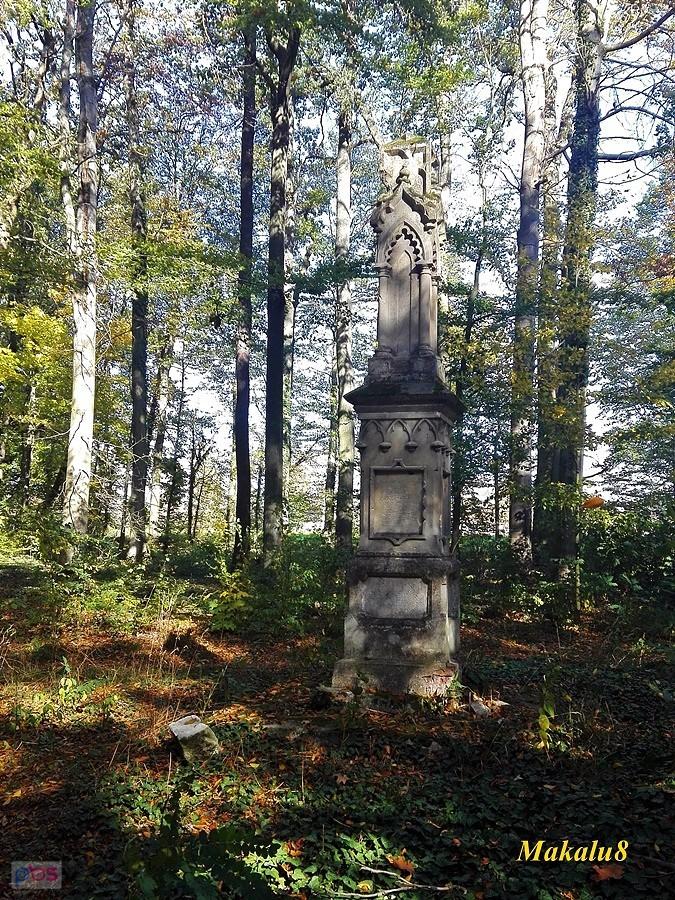 Pokój_park