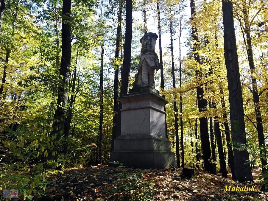 Pokój_park