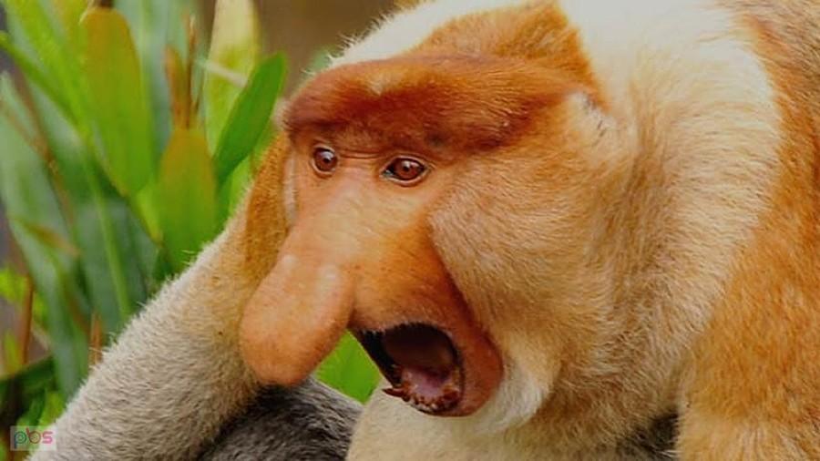 aaaaa