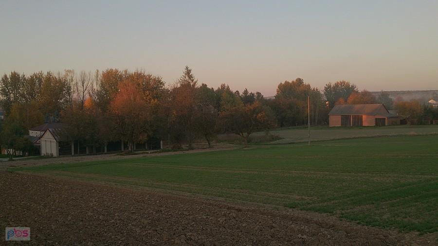 Pola i budynki w Tuszowie