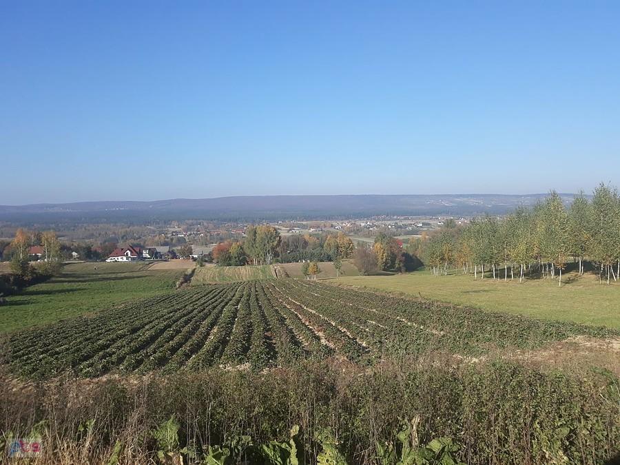 pasmo Bukowej Górry