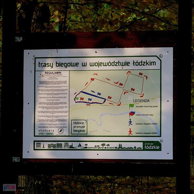 Trasy biegowe