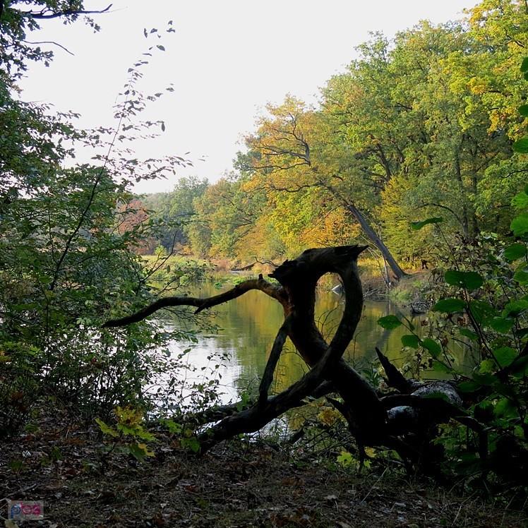 Jesienią nad Pilicą