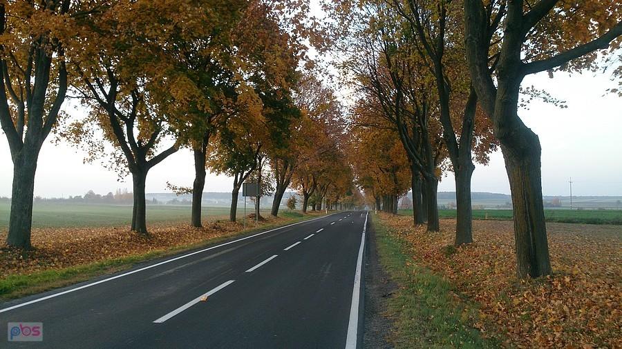 Jesienne popołudniowe klimaty