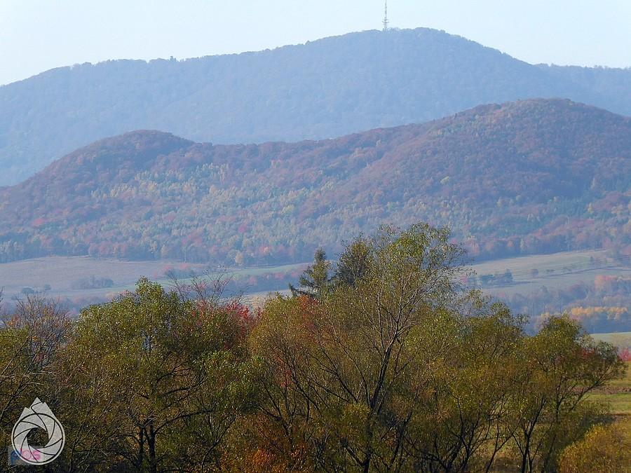 Magura Stebnicka