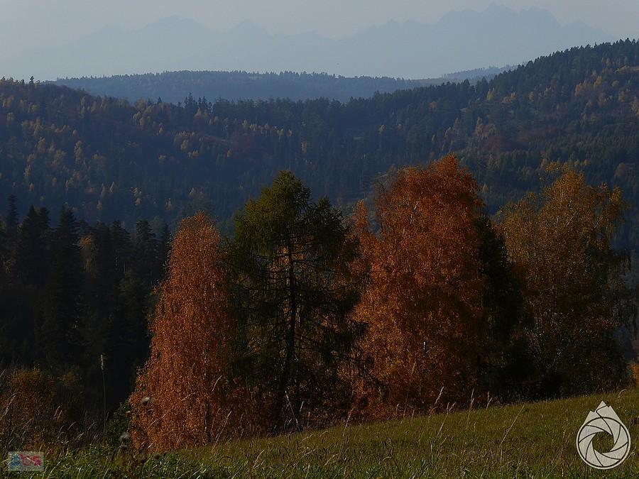gdzies tam znów Tatry widać