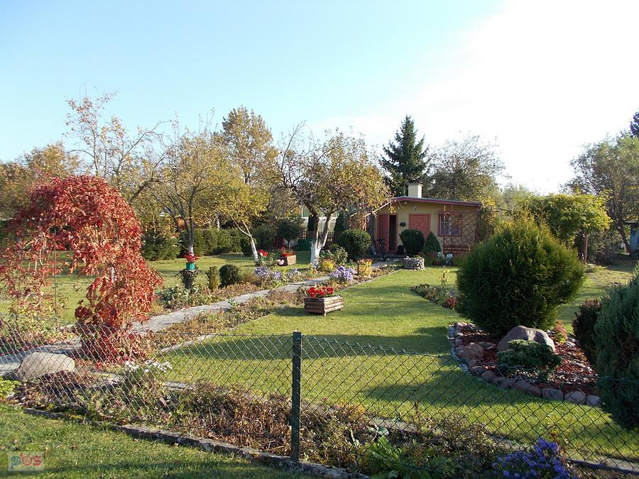 Działka Dareckiego