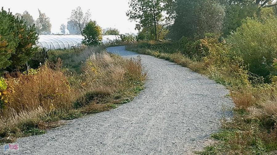 Początek szutrowej DDR-ki nr 3