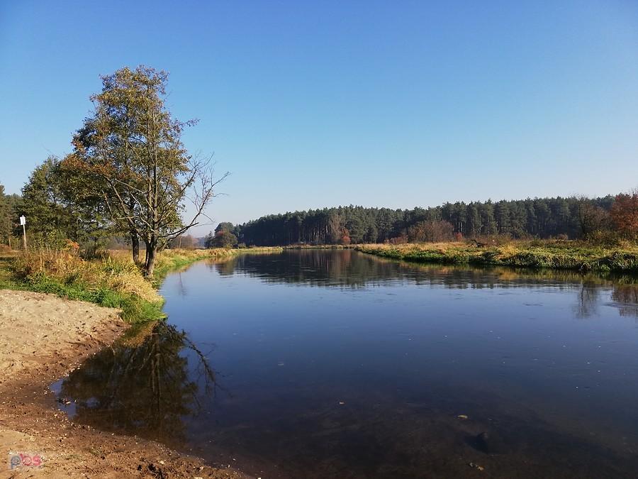 Pilica gdzieś na szlaku