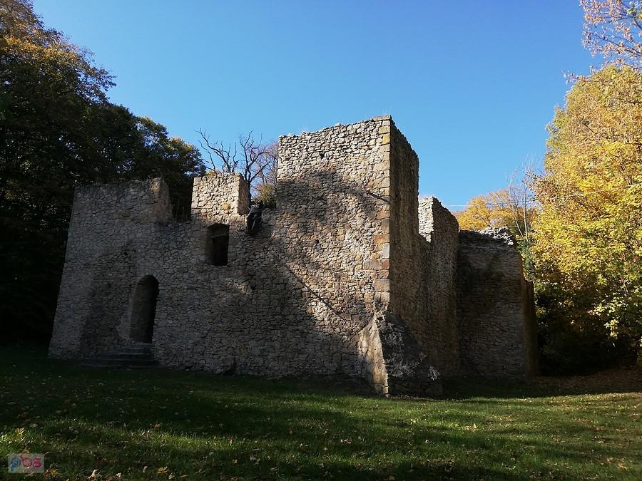 Zamek w Bąkowej Górze