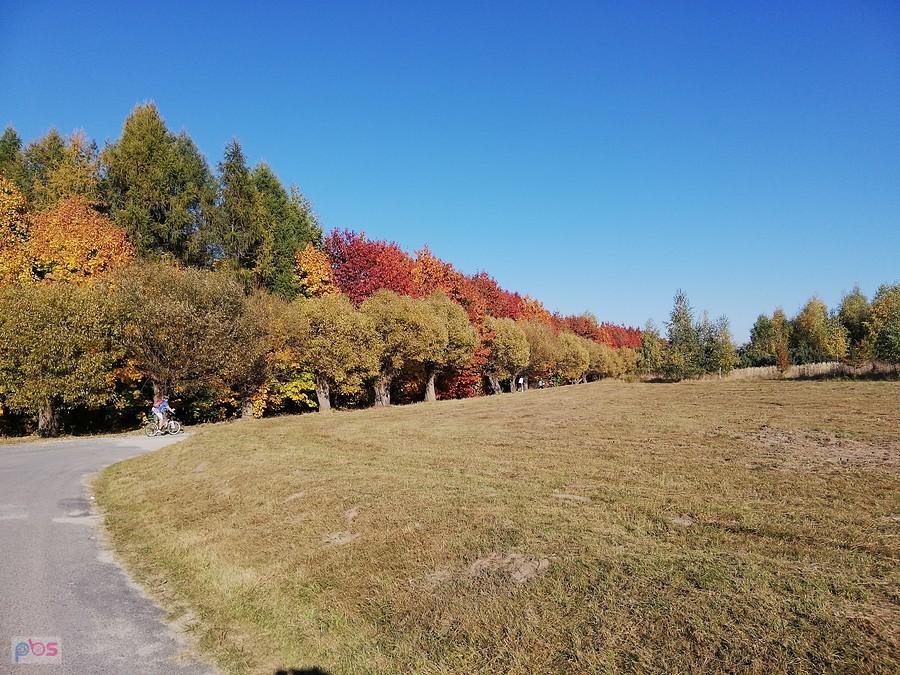 Pani Jesień w pełnej krasie