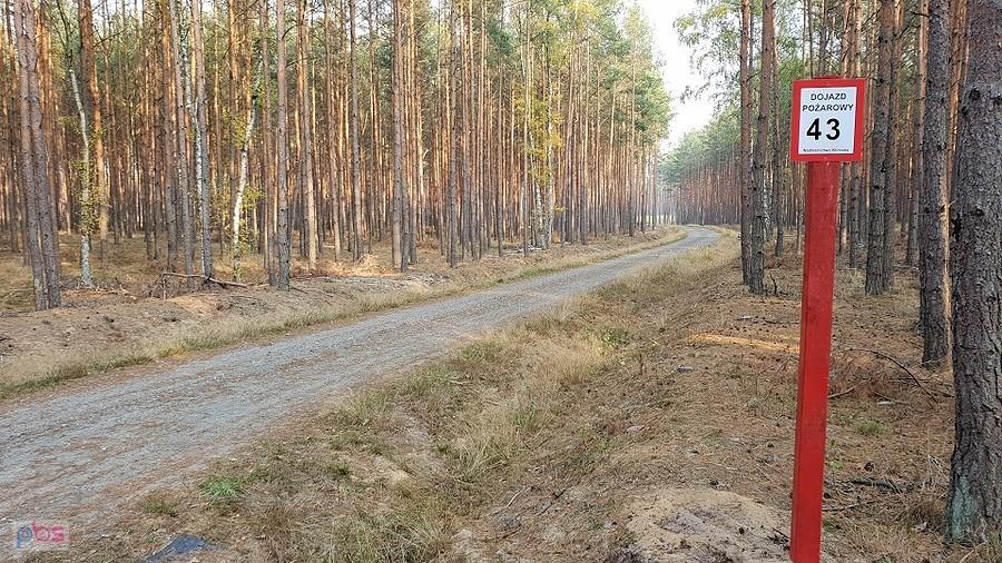 Dojaz pożarowy 43 w kierunku Wielgowa