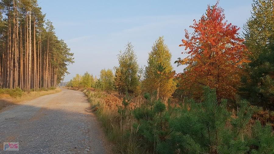 Dojazd pożarowy 40