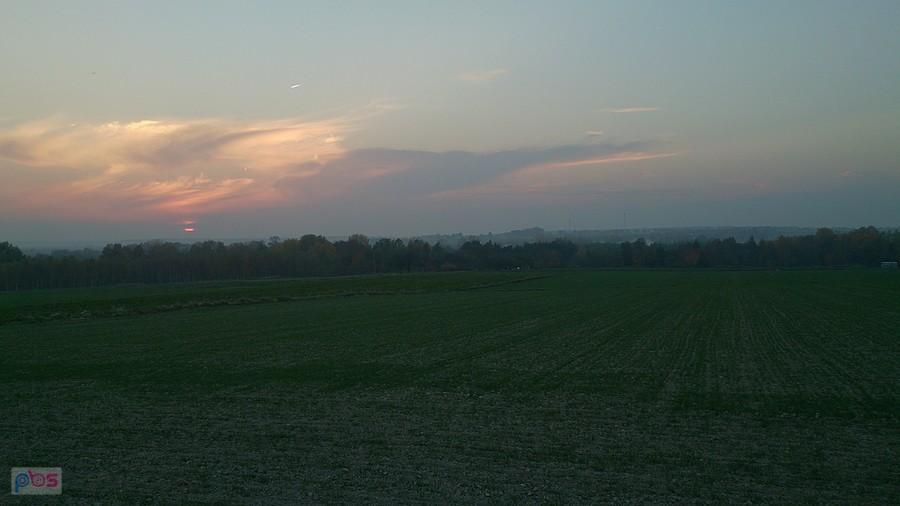 Pola w okolicach Strzyżewic