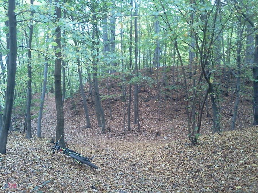Międzyświeć grodzisko