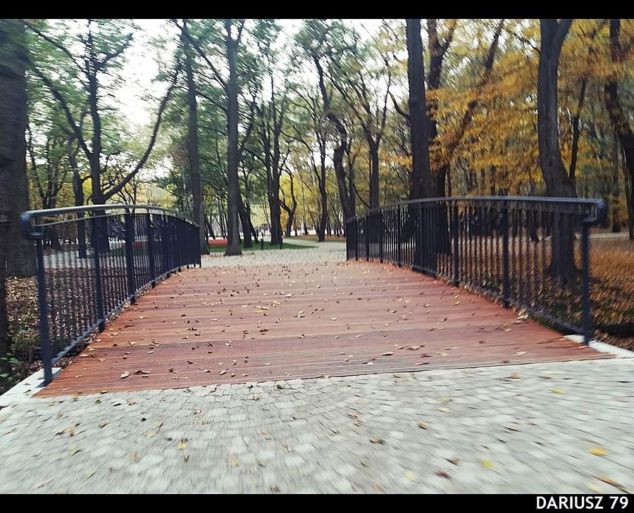 Dąbrowa Górnicza - Park Zielona