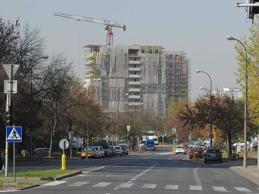 Budynki Dereniowa 60