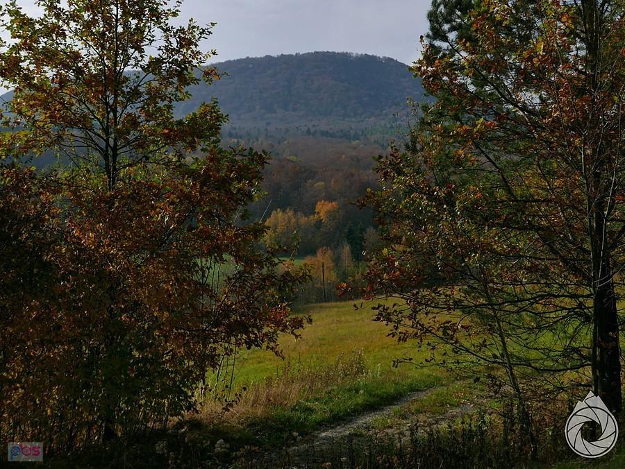 Chełm n/Grybowem z najfajniejszego podjazdu na Ropską