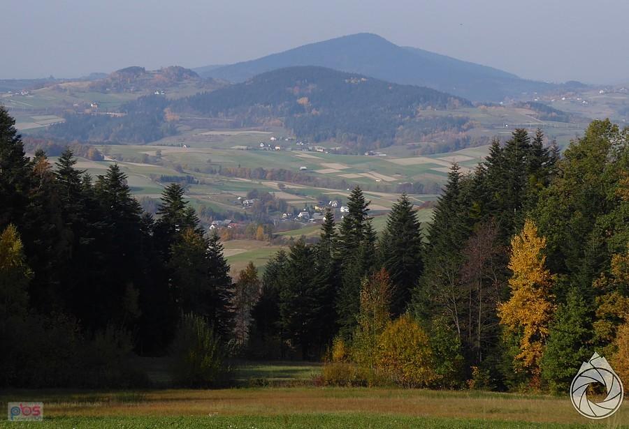 gdzieś tam daleko majaczy ...coś tam majaczy...Rosochatka?