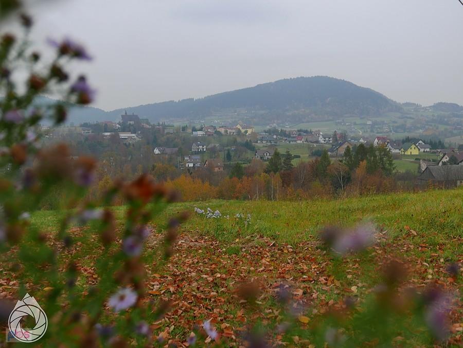Rosochatka góruje nad Cieniawą