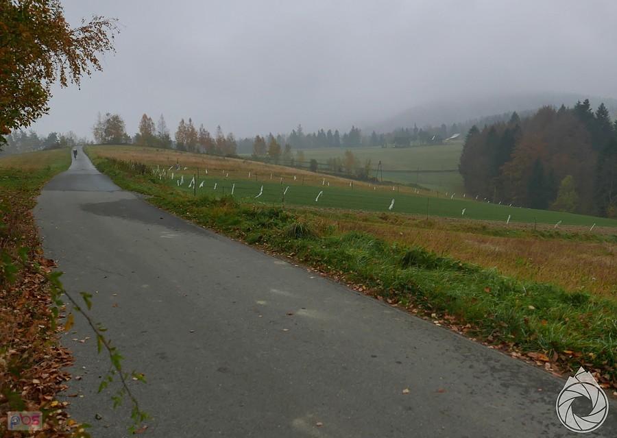 za lasem ładna łąki, dziś bez widoków