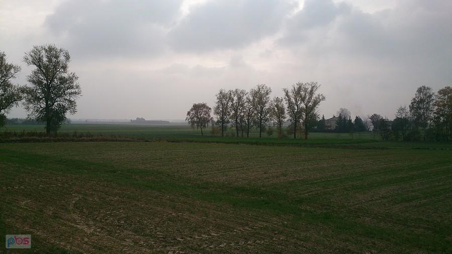Jesienny widok w Miłocinie