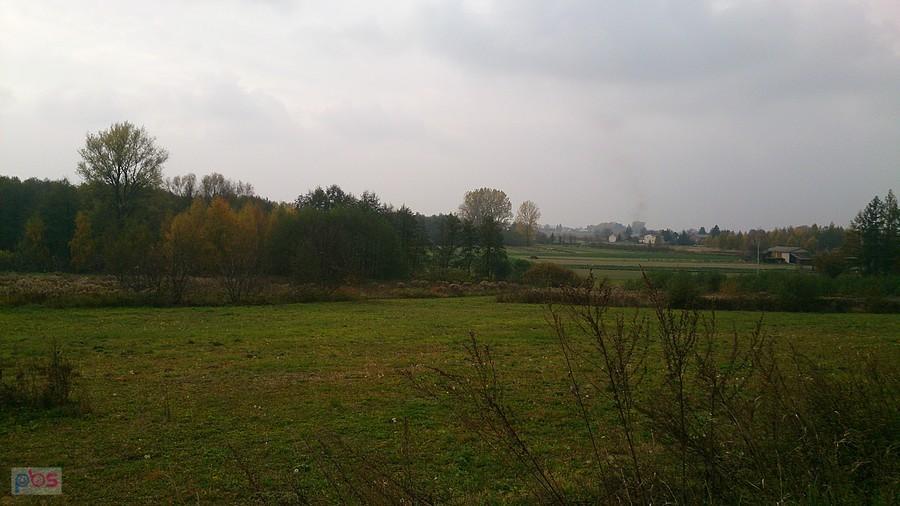 Łąki w Motyczu