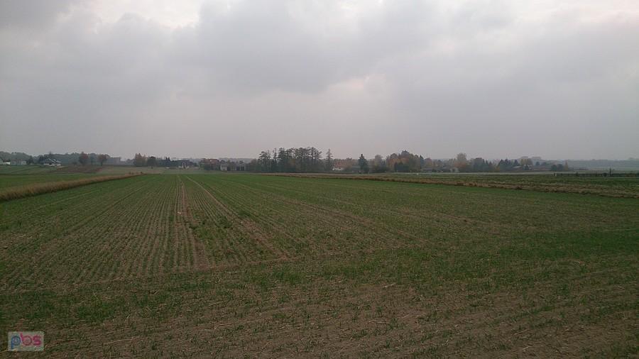Pola i chmury