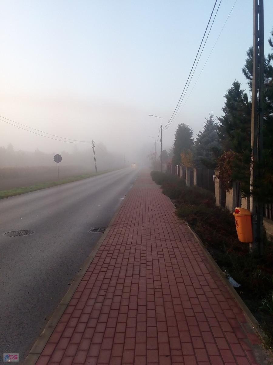 Droga we mgle