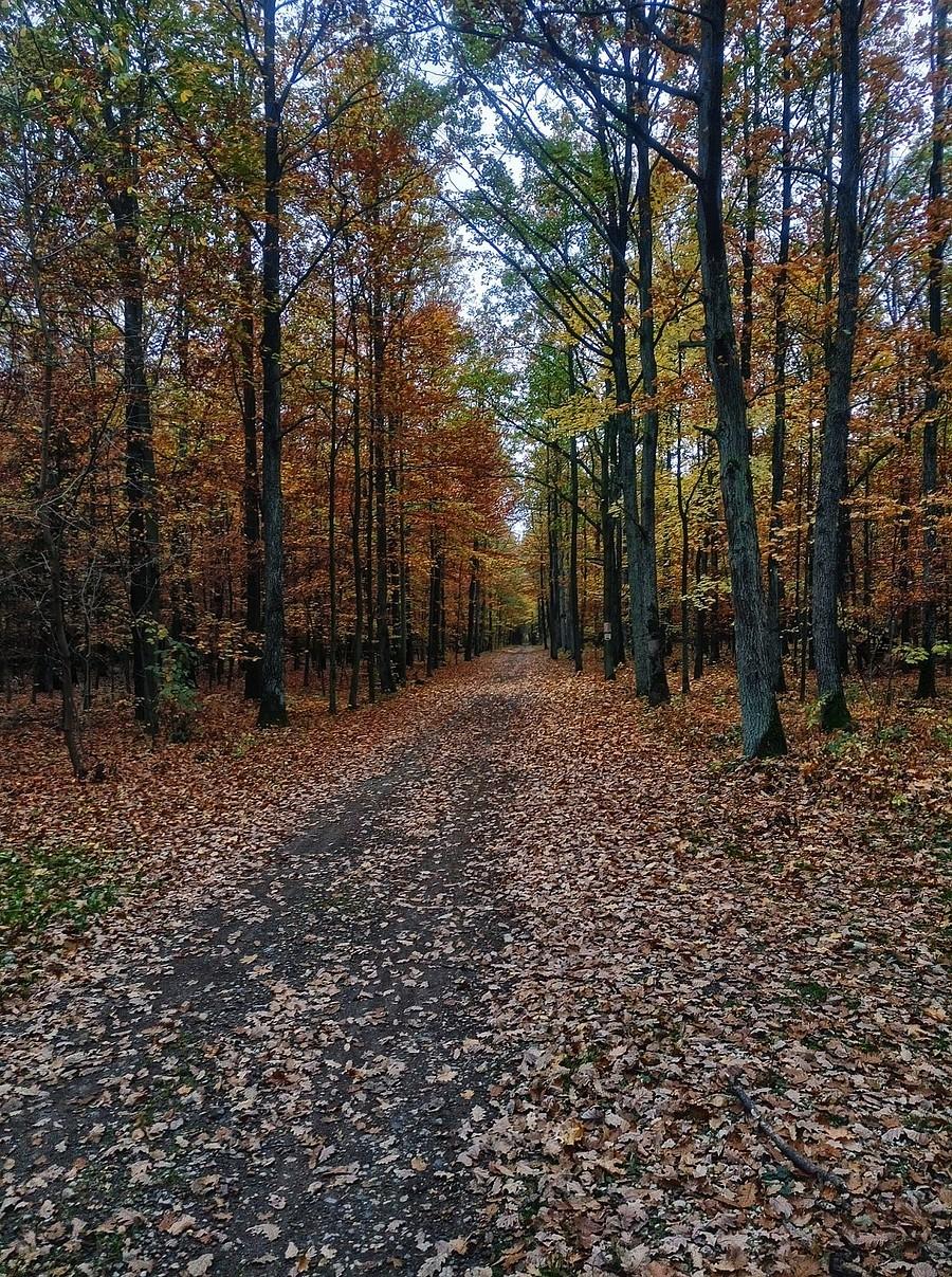 Jesienny HDR