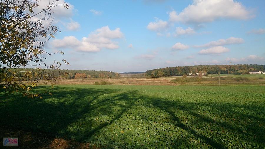 Lasy Kozłowieckie i łąki w Nasutowie