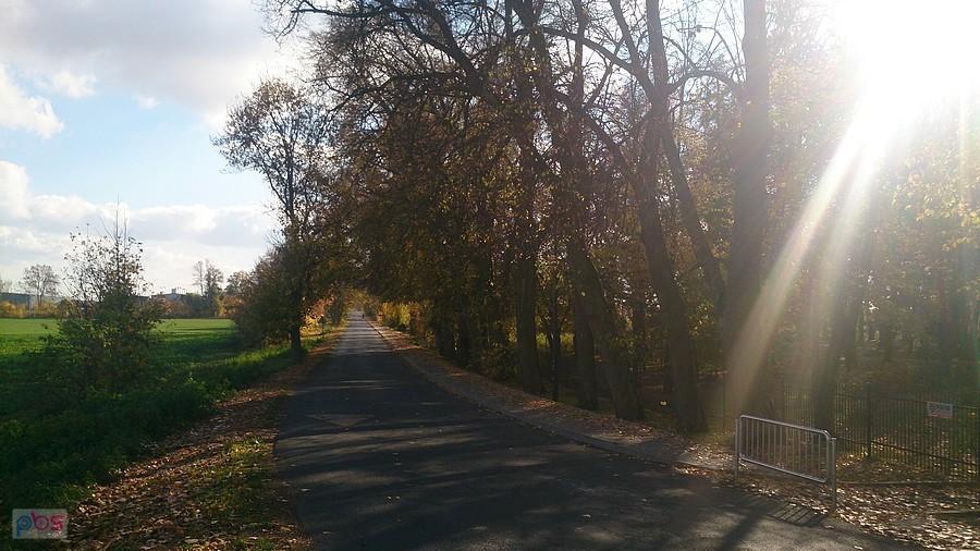 Długa prosta przez Nasutów