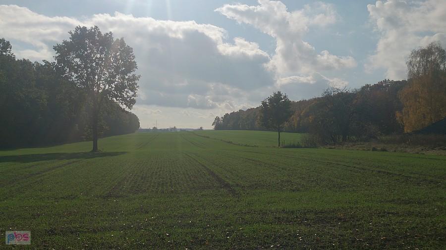 Wydaje się, że jest ciepło