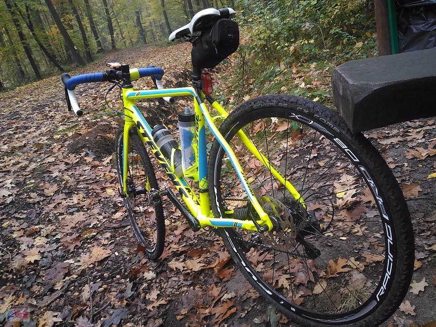 Leśne szutry miedzy Marklowicami a Radlinem