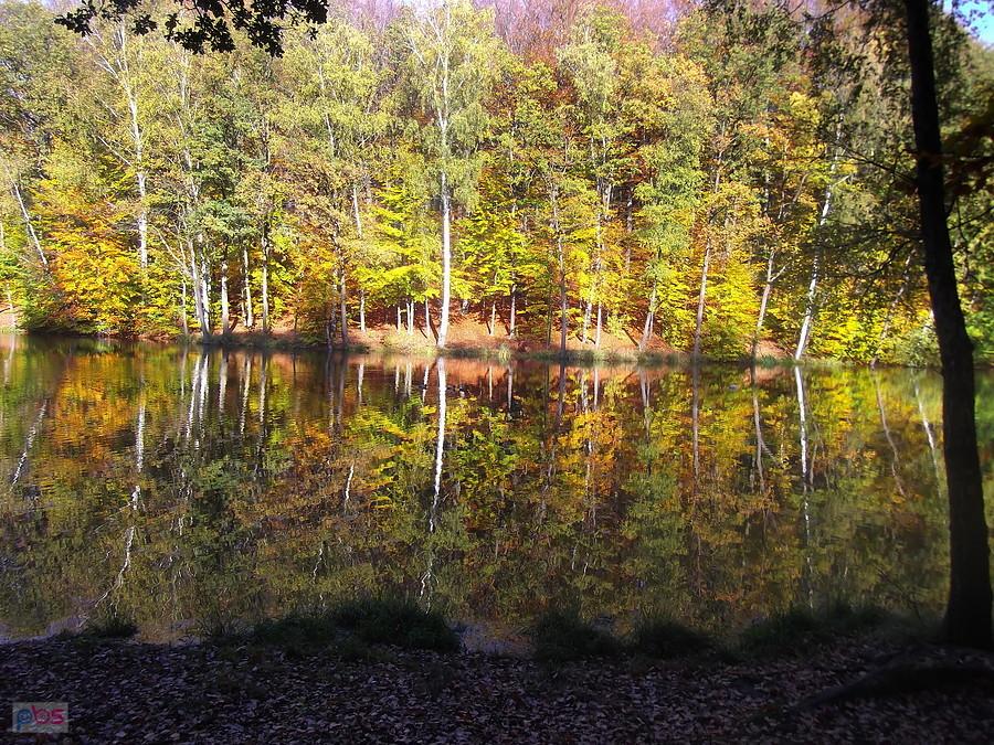 Kolorowe "Kąpielisko Balaton"