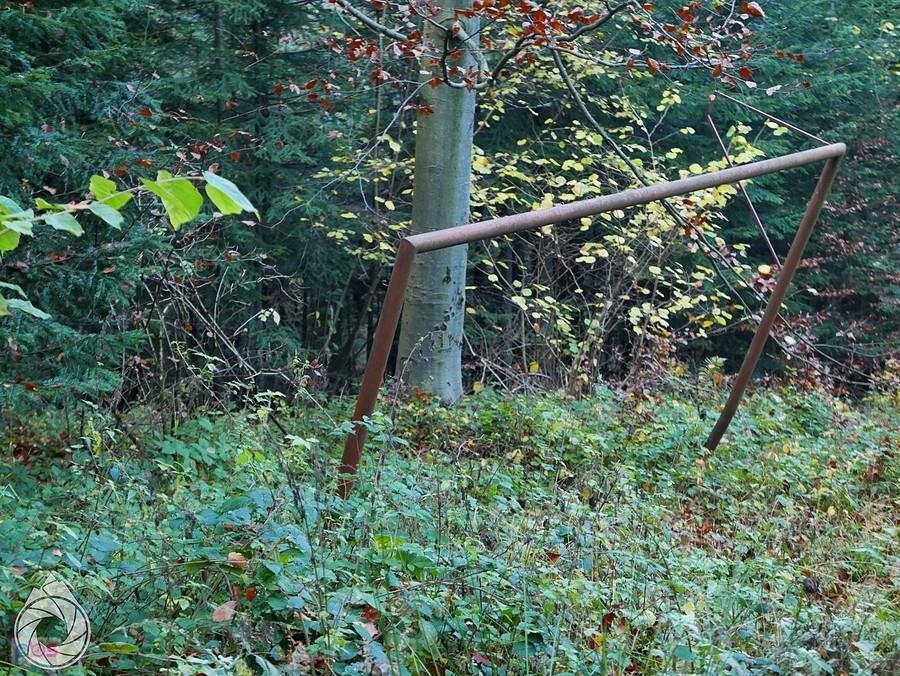 środek lasu i zapomniane boisko do piłki nożnej