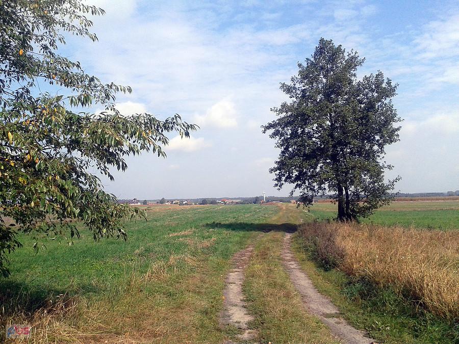 W kierunku następnego PKT