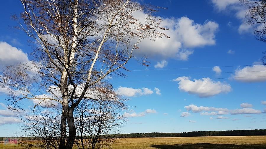 Okolice Wielichówka