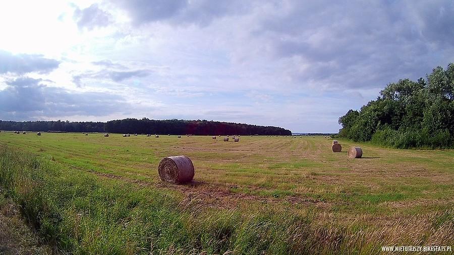 Na trasie Tolkmicko - Kadyny