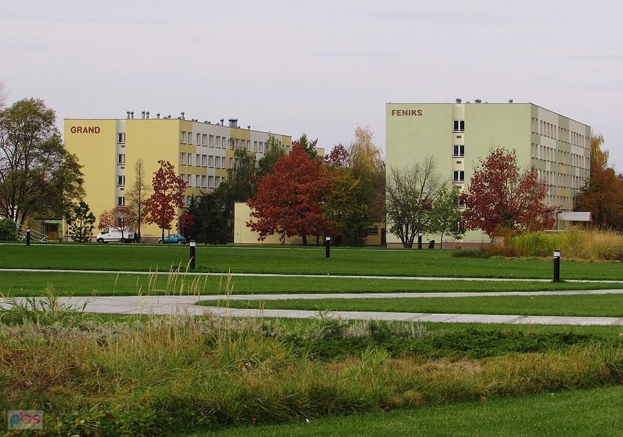 SGGW - akademiki Grand i Feniks