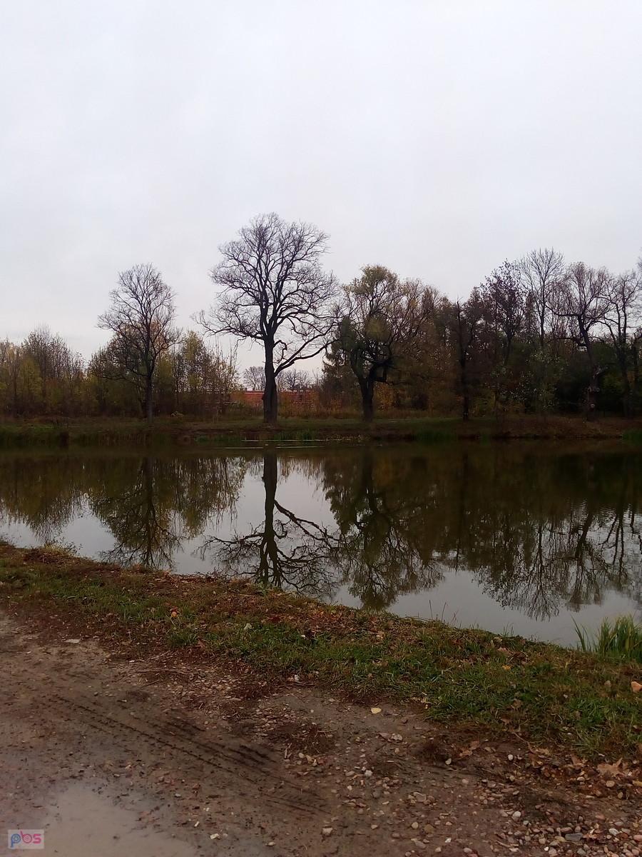 Staw w Ołtarzewie