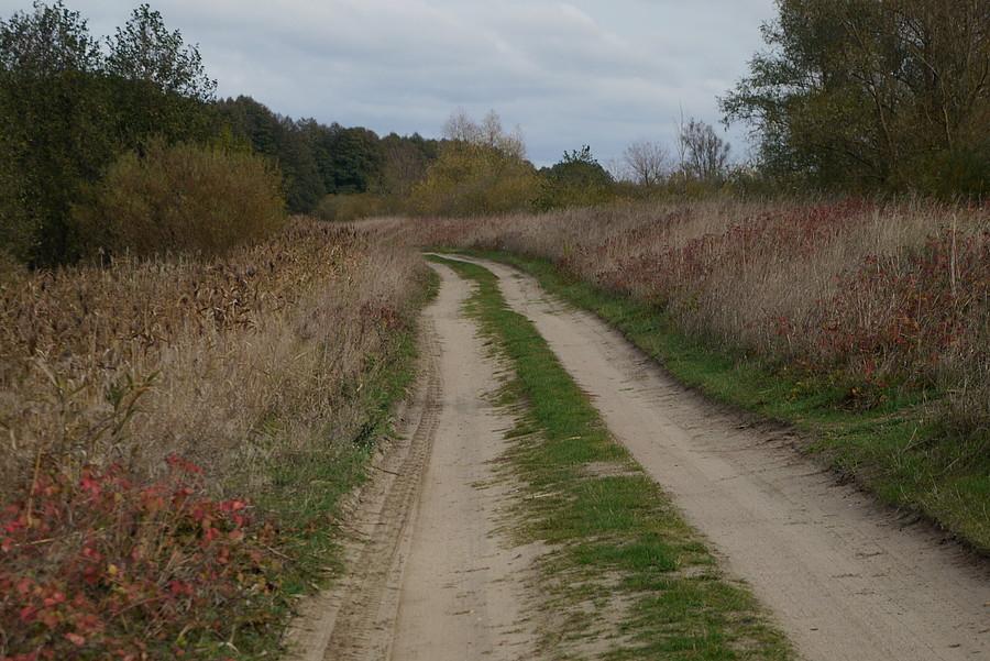 Pustkowia nad Notecią
