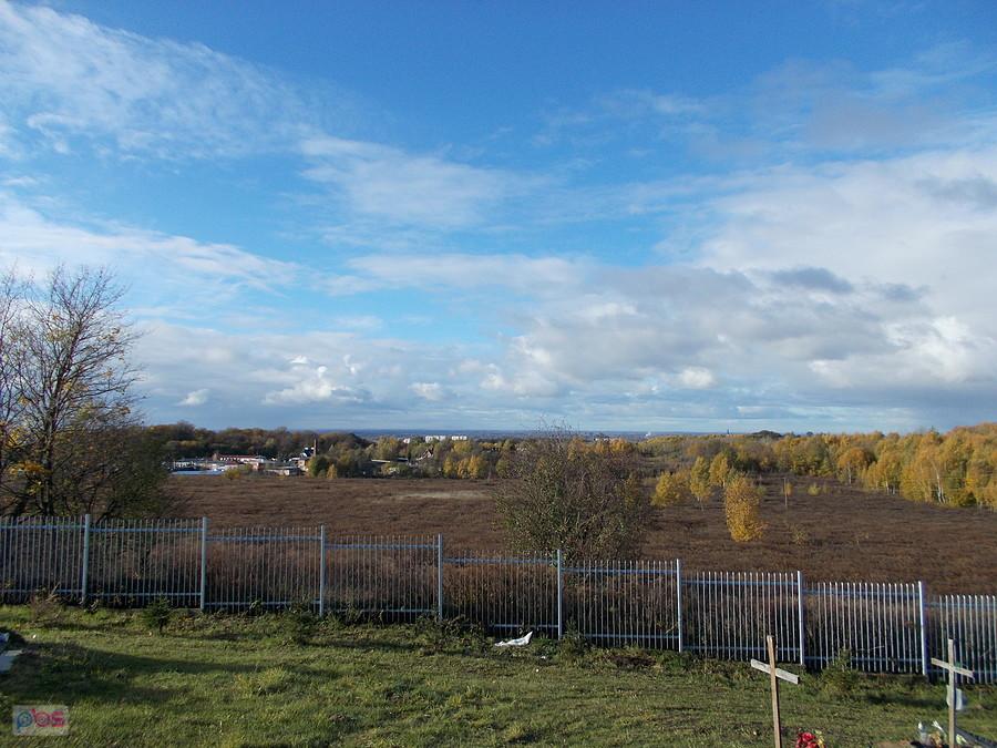 Widok z Dębicy