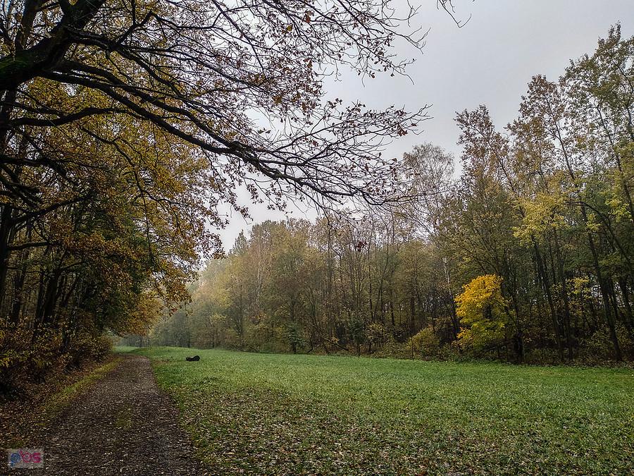 Nie ma żywego ducha