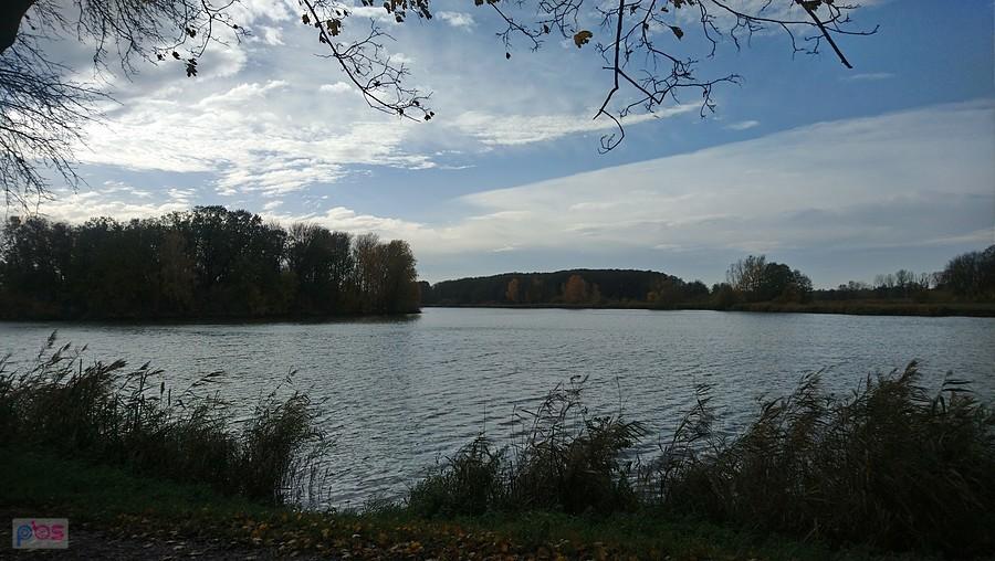 Staw w Falentach
