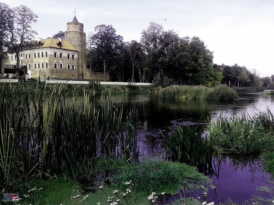 Zamek w Uniejowie