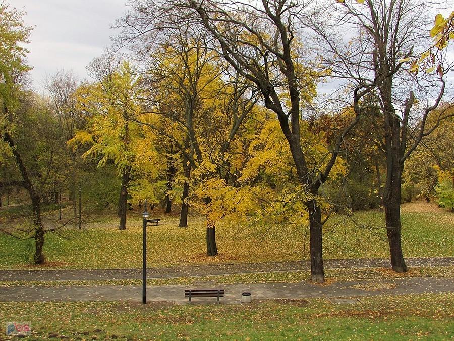 Park Praski