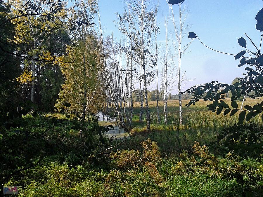 Rozlewisko w Księżych Młynach