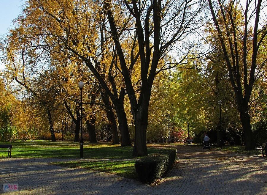 Park Żeromskiego